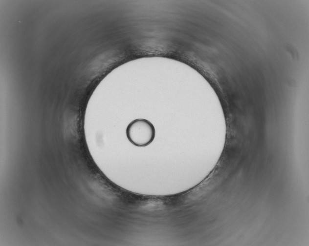 X0000112810162200908211152