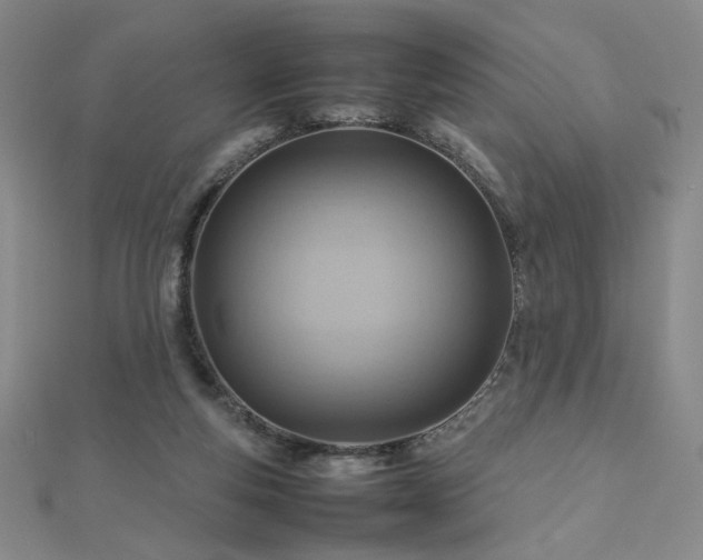 X0000112810163200908211152
