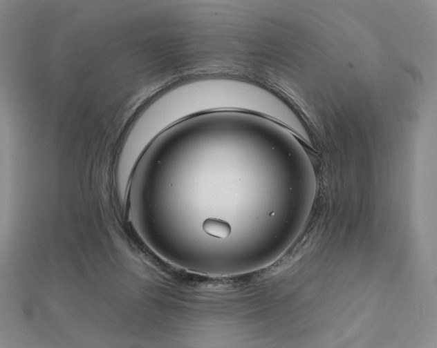X0000112810164200908211152