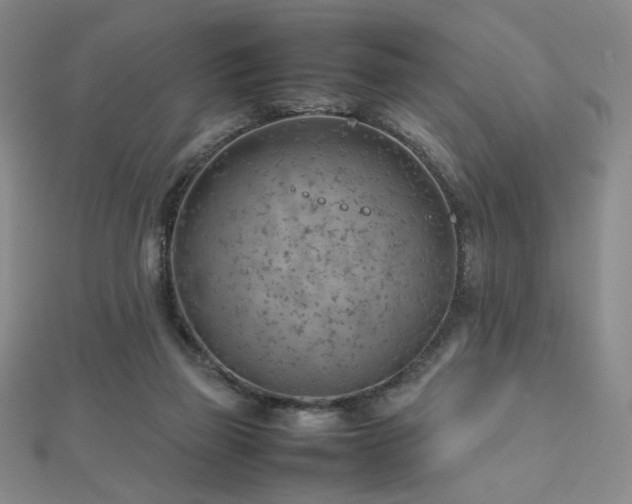 X0000112810165200908211152
