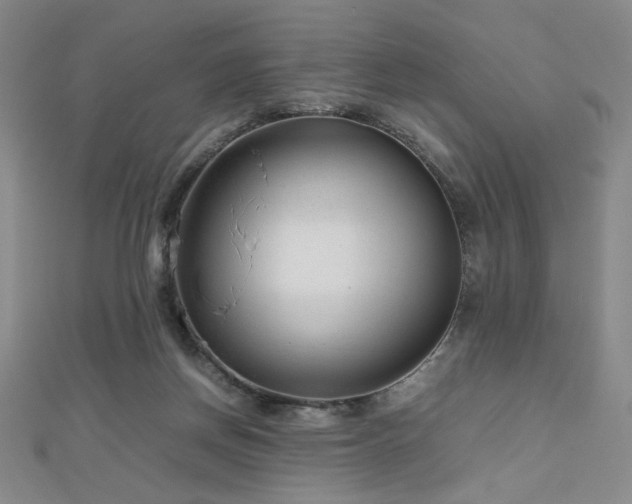 X0000112810166200908211152