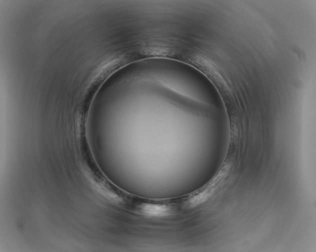 X0000112810167200908211152