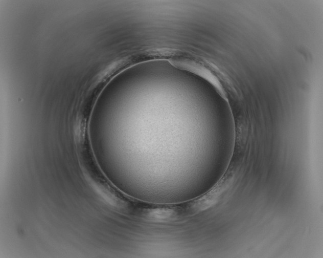 X0000112810168200908211152