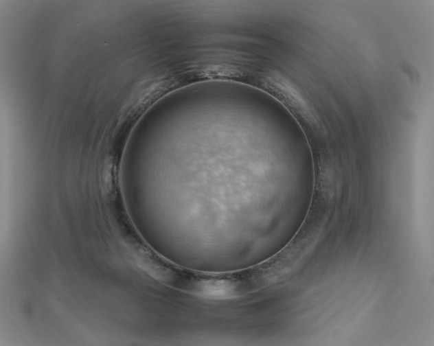 X0000112810169200908211152