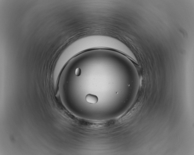 X0000112810172200908211152