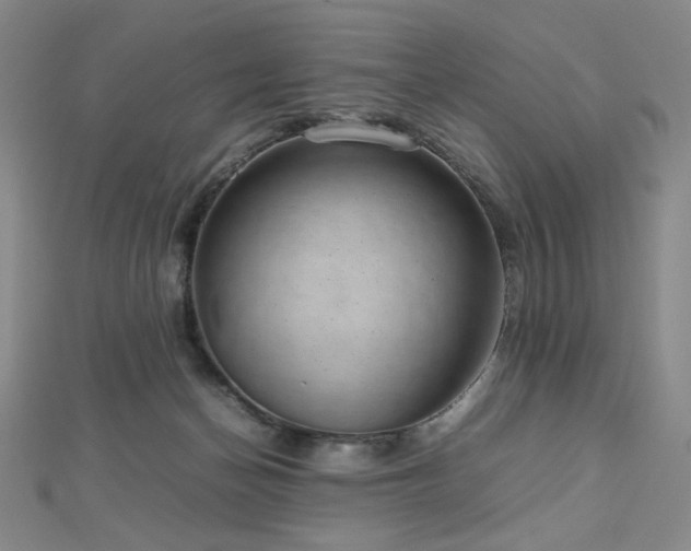 X0000112810174200908211152