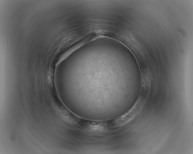 X0000112810175200908211152