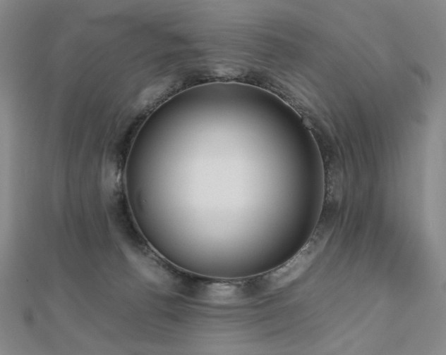 X0000112810176200908211152