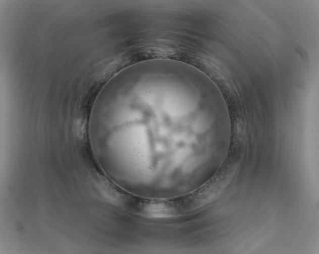 X0000112810177200908211152
