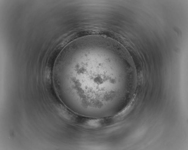 X0000112810178200908211152