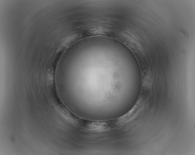 X0000112810179200908211152