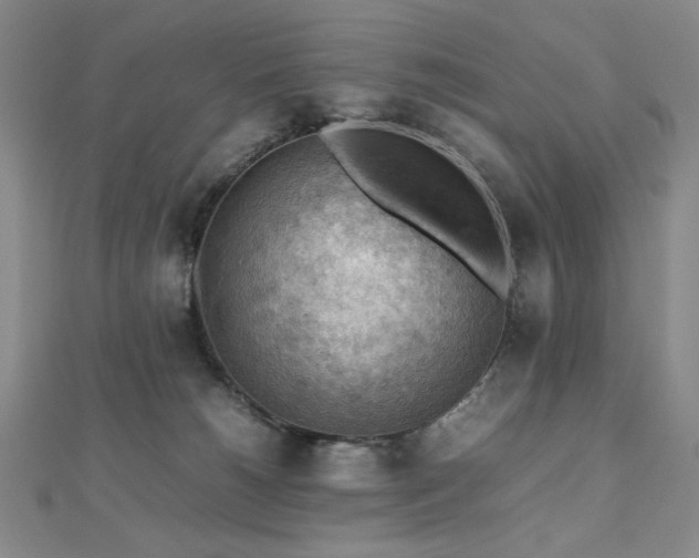 X0000112810180200908211152