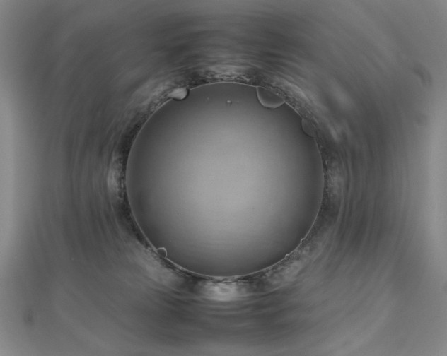 X0000112810181200908211152