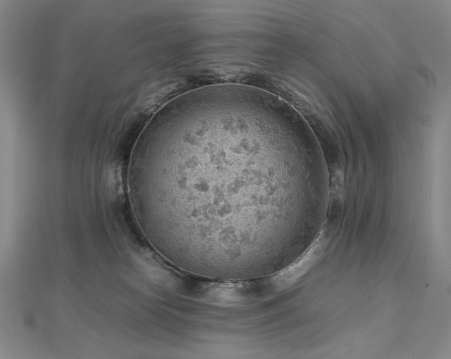 X0000112810182200908211152