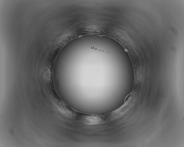 X0000112810183200908211152