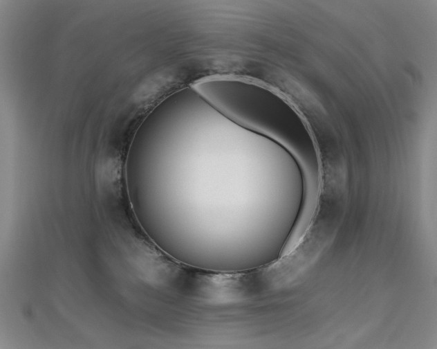 X0000112810184200908211152