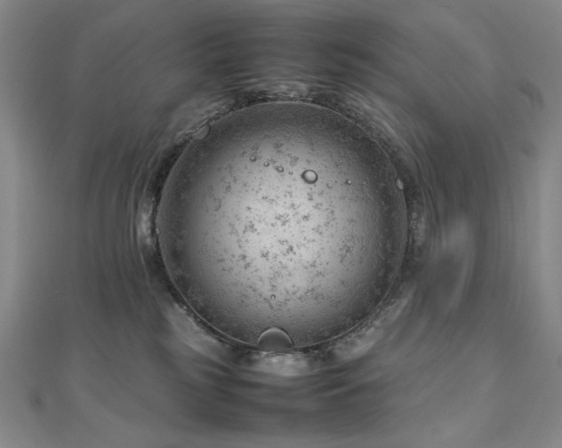 X0000112810185200908211152