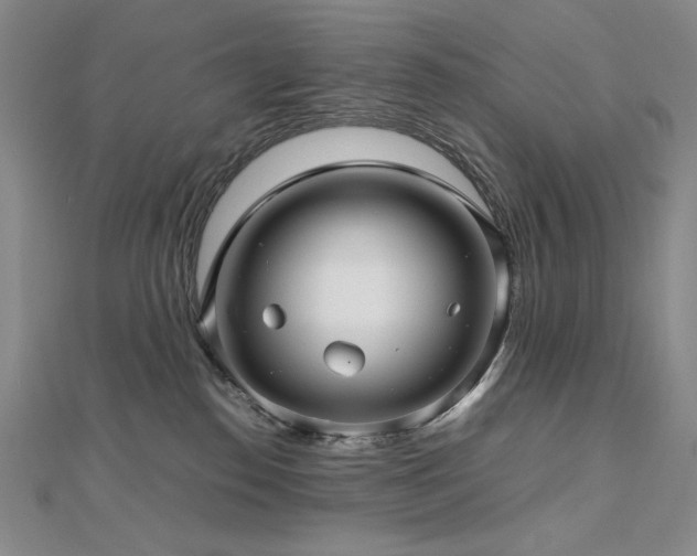 X0000112810186200908211152