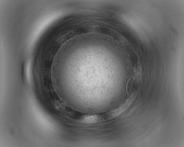 X0000112810189200908211152