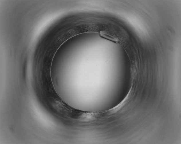 X0000112810190200908211152