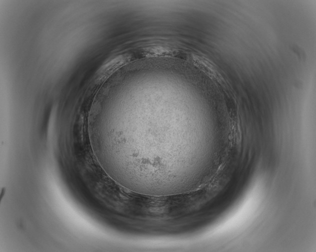 X0000112810191200908211152