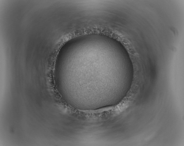 X0000112810192200908211152