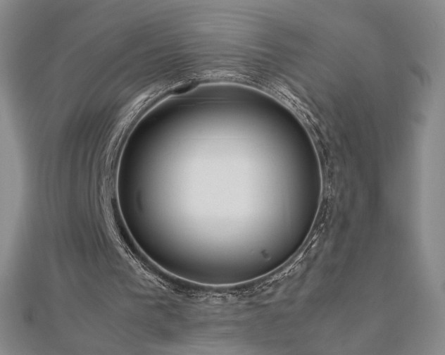 X0000112810193200908211151