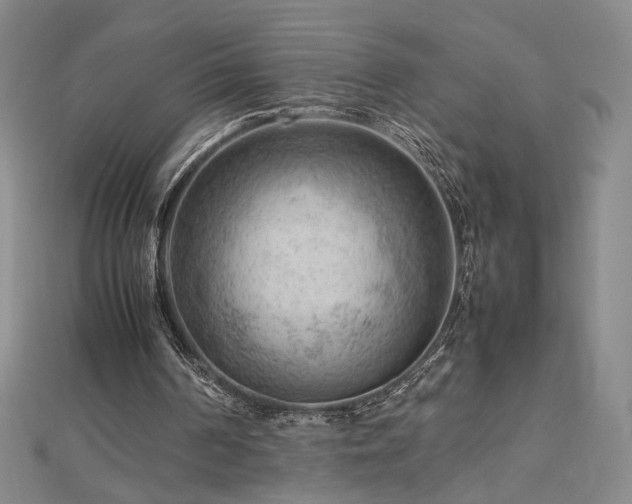X0000112810194200908211151