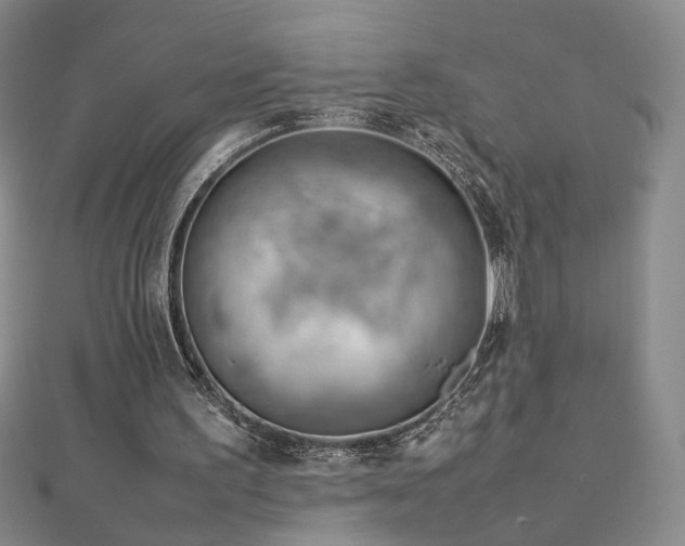 X0000112810195200908211151