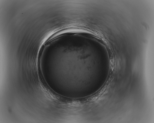 X0000112810196200908211151