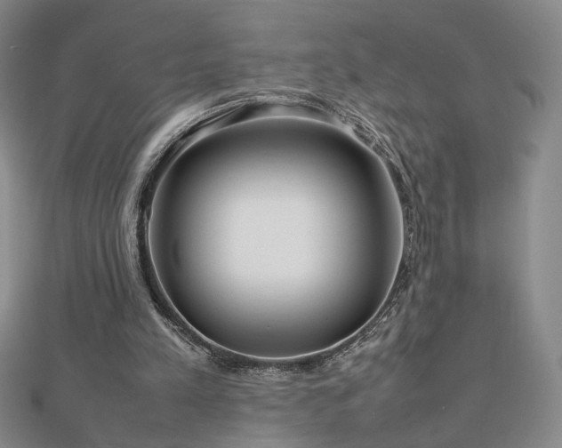 X0000112810197200908211151