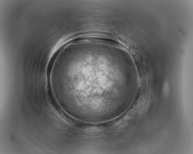 X0000112810198200908211151