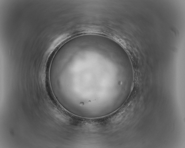 X0000112810199200908211151