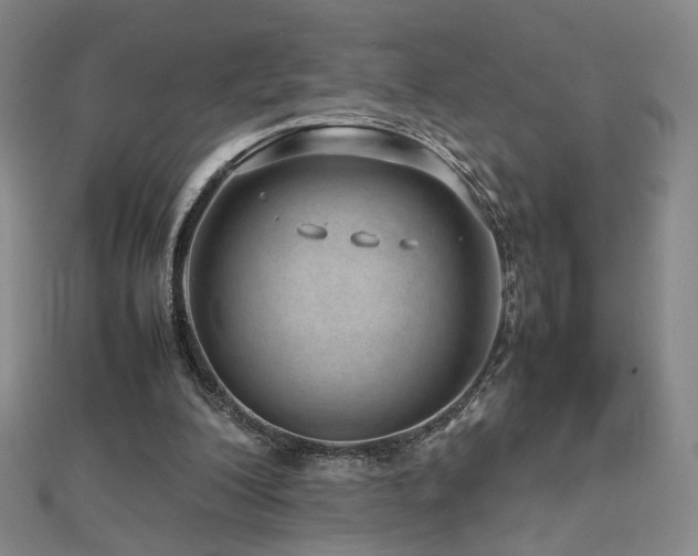 X0000112810200200908211151