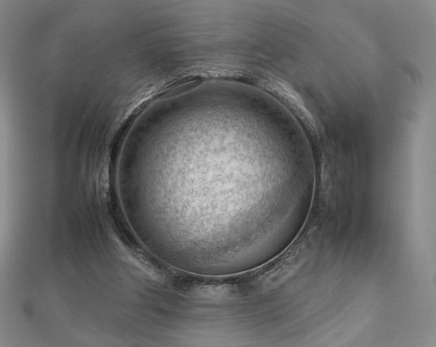 X0000112810202200908211151