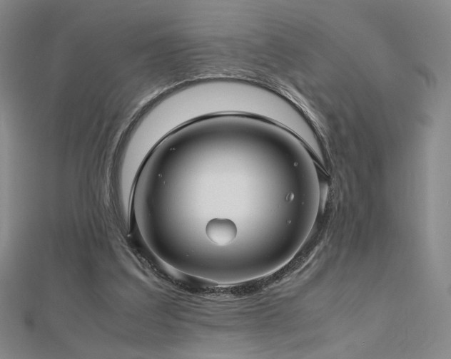 X0000112810203200908211151