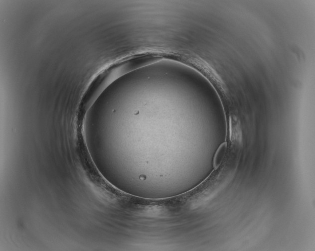 X0000112810204200908211151