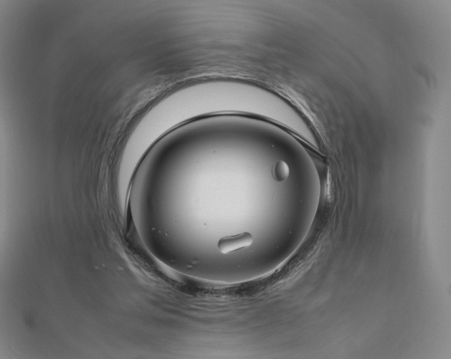 X0000112810205200908211151