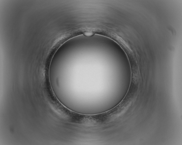 X0000112810207200908211151