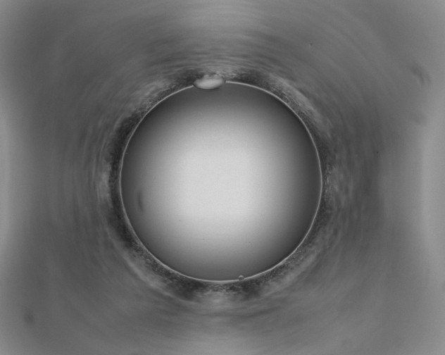 X0000112810209200908211151