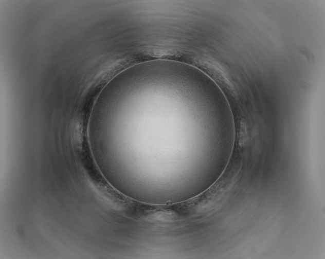 X0000112810210200908211151