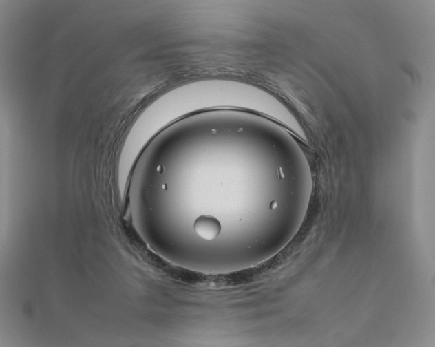 X0000112810211200908211151