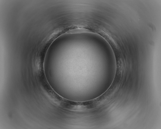 X0000112810212200908211151