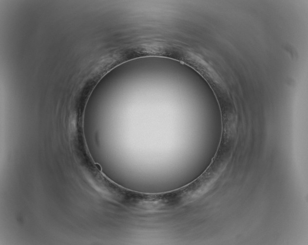 X0000112810213200908211151