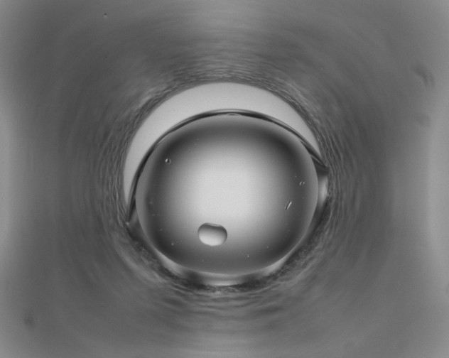 X0000112810215200908211151