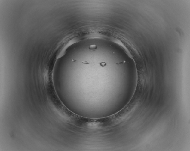 X0000112810216200908211151