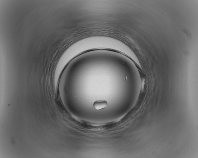 X0000112810217200908211151