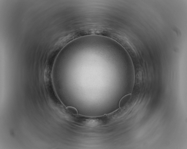 X0000112810218200908211151