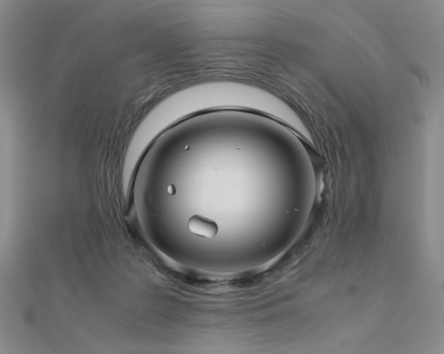 X0000112810219200908211151