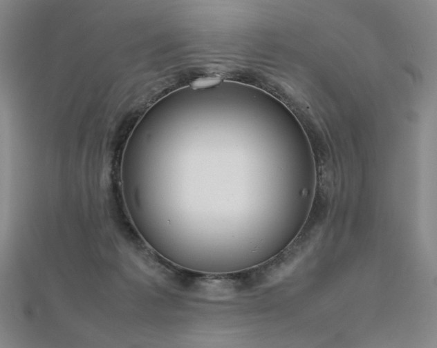 X0000112810221200908211151